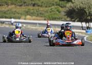 DSC_7138 copie